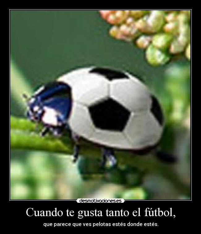 Cuando te gusta tanto el fútbol, - que parece que ves pelotas estés donde estés.