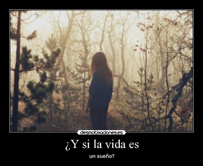 ¿Y si la vida es - 