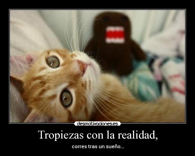 carteles tropiezas con realidad corres tras sueno desmotivaciones