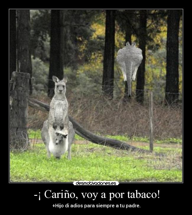 -¡ Cariño, voy a por tabaco! - +Hijo di adios para siempre a tu padre.