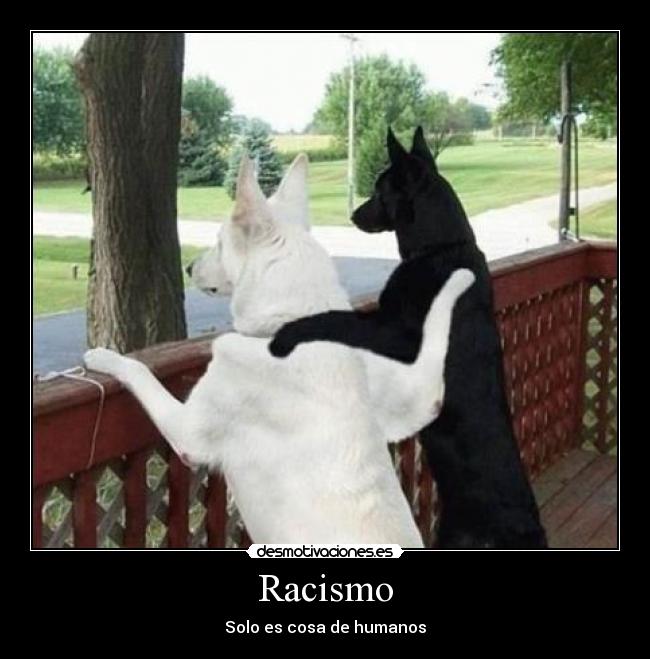 Racismo -