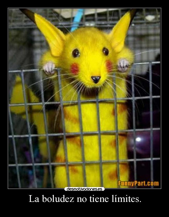 La boludez no tiene límites. -