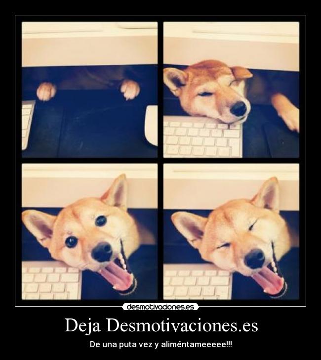 Deja Desmotivaciones.es - De una puta vez y aliméntameeeee!!!