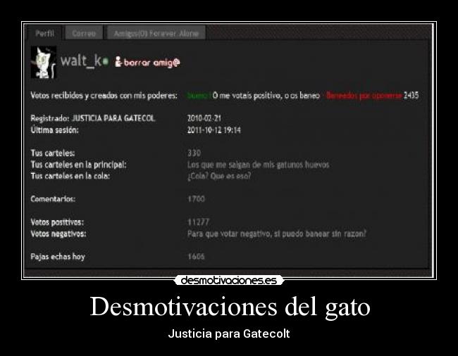 carteles desmotivaciones gato jonan toguapo cara pricnipal desmotivaciones