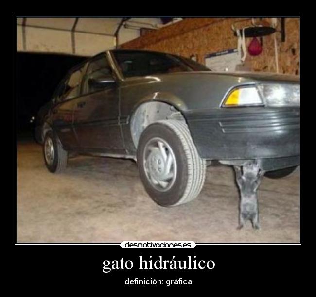 gato hidráulico - definición: gráfica