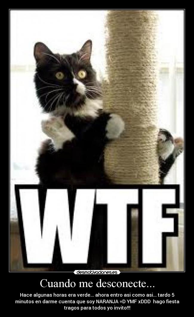 Cuando me desconecte... - Hace algunas horas era verde... ahora entro asi como asi... tardo 5
minutos en darme cuenta que soy NARANJA =D YMF xDDD hago fiesta
tragos para todos yo invito!!!