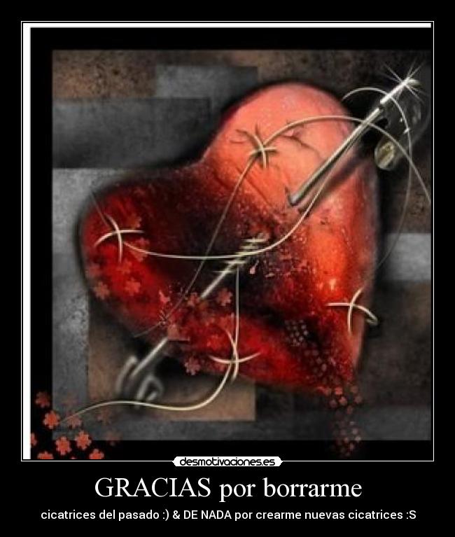 GRACIAS por borrarme - 