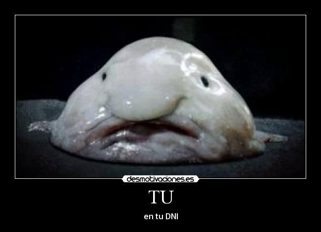 carteles dni siempre sales mal desmotivaciones