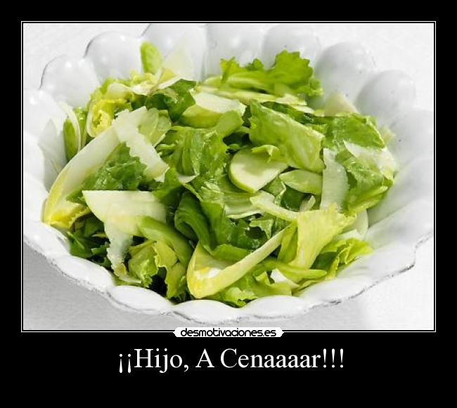 ¡¡Hijo, A Cenaaaar!!! -