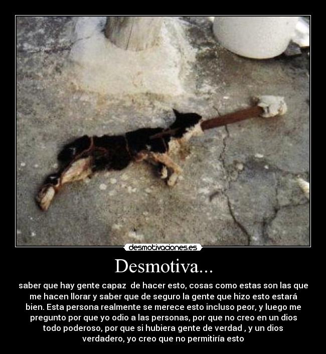 Desmotiva... - saber que hay gente capaz  de hacer esto, cosas como estas son las que
me hacen llorar y saber que de seguro la gente que hizo esto estará
bien. Esta persona realmente se merece esto incluso peor, y luego me
pregunto por que yo odio a las personas, por que no creo en un dios
todo poderoso, por que si hubiera gente de verdad , y un dios
verdadero, yo creo que no permitiría esto