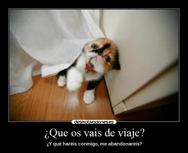 ¿Que os vais de viaje? - ¿Y qué haréis conmigo, me abandonareis?