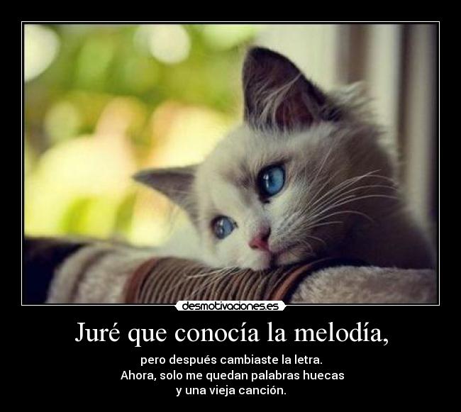 Juré que conocía la melodía, - pero después cambiaste la letra.
 Ahora, solo me quedan palabras huecas
y una vieja canción.