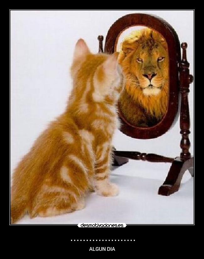 ..................... -