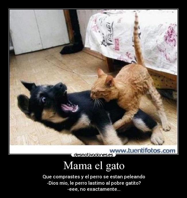 Mama el gato - Que comprastes y el perro se estan peleando
-Dios mio, le perro lastimo al pobre gatito?
-eee, no exactamente...