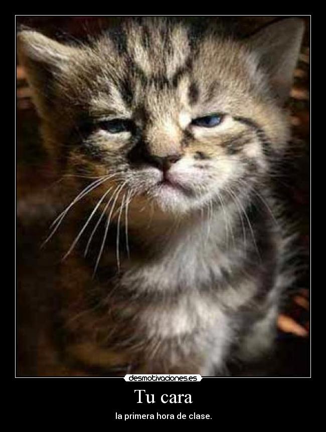 Tu cara - la primera hora de clase.
