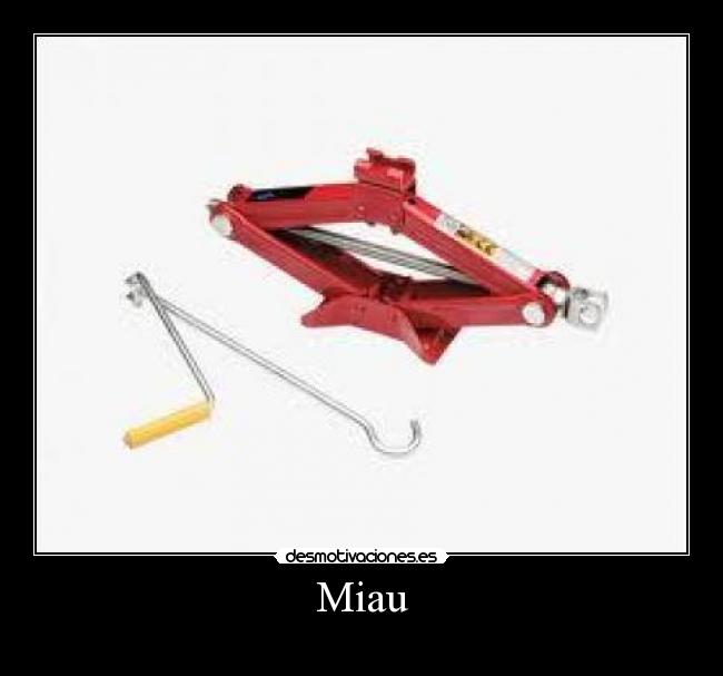 carteles miau gatoselevador hector atl lta rotceh desmotivaciones