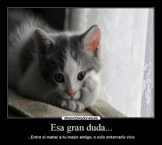 Esa gran duda... - ...Entre si matar a tu mejor amigo, o solo enterrarlo vivo