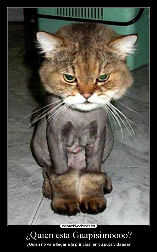 ¿Quien esta Guapísimoooo? -