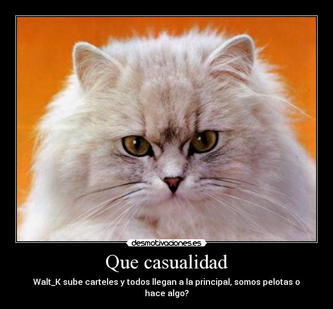 carteles casualidades desmotivaciones