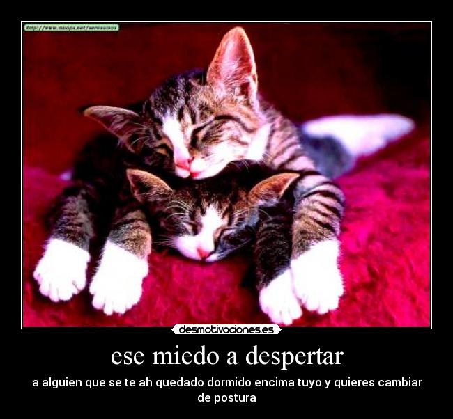 ese miedo a despertar - 