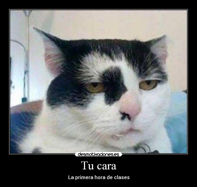 Tu cara - La primera hora de clases
