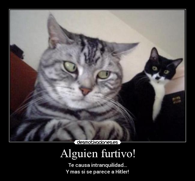 Alguien furtivo! -