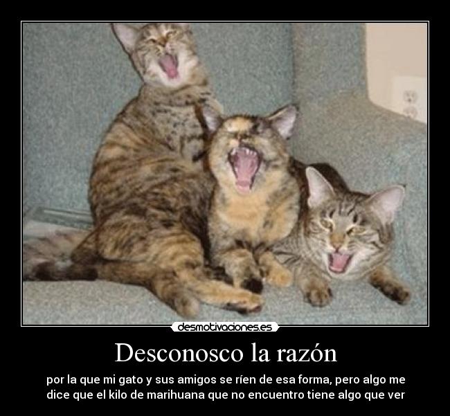 Desconosco la razón -