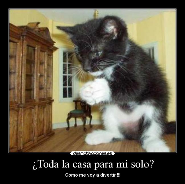 ¿Toda la casa para mi solo? - 