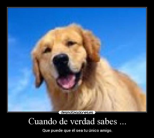 Cuando de verdad sabes ... - Que puede que él sea tu único amigo.