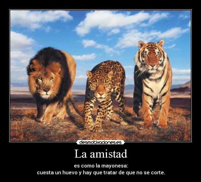 La amistad - es como la mayonesa:
cuesta un huevo y hay que tratar de que no se corte.