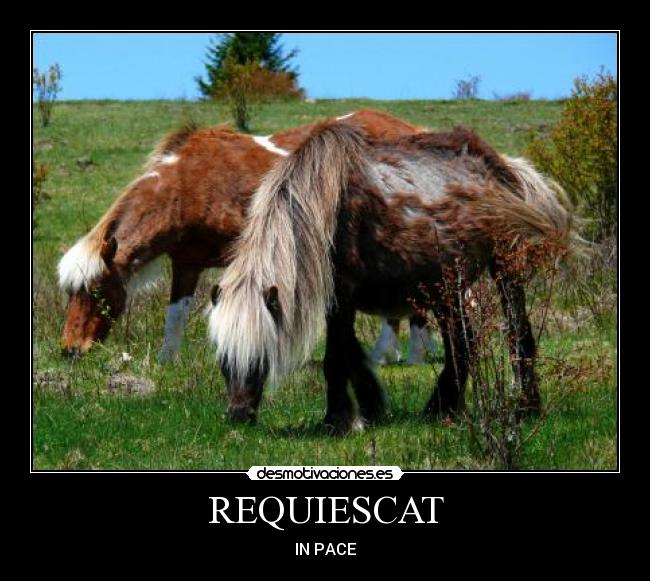 REQUIESCAT - IN PACE