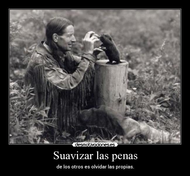 carteles suavizar las penas desmotivaciones