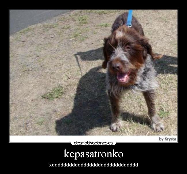 kepasatronko - xdddddddddddddddddddddddddddddd