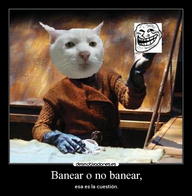 Banear o no banear, - 