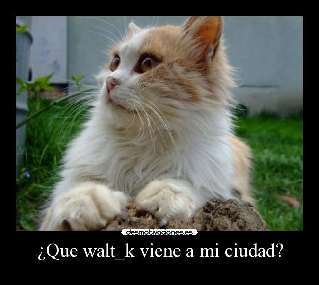 ¿Que walt_k viene a mi ciudad? -