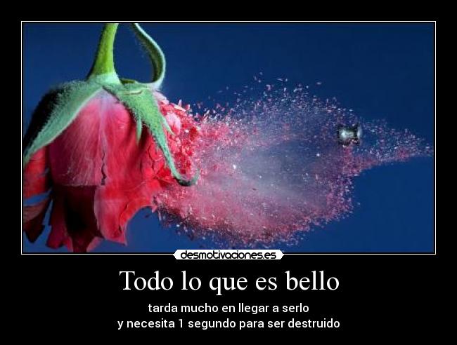 carteles todo bello puede ser destruido elclanviral desmotivaciones