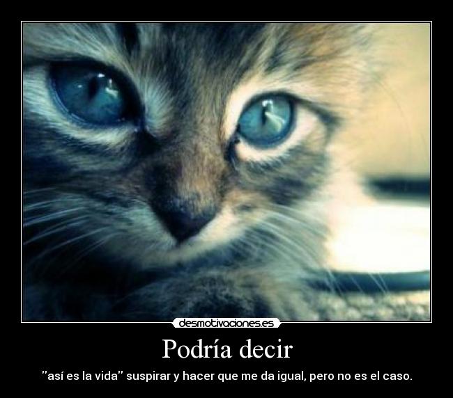 Podría decir - así es la vida suspirar y hacer que me da igual, pero no es el caso.