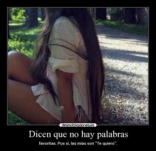 Dicen que no hay palabras - favoritas. Pus si, las mías son Te quiero.