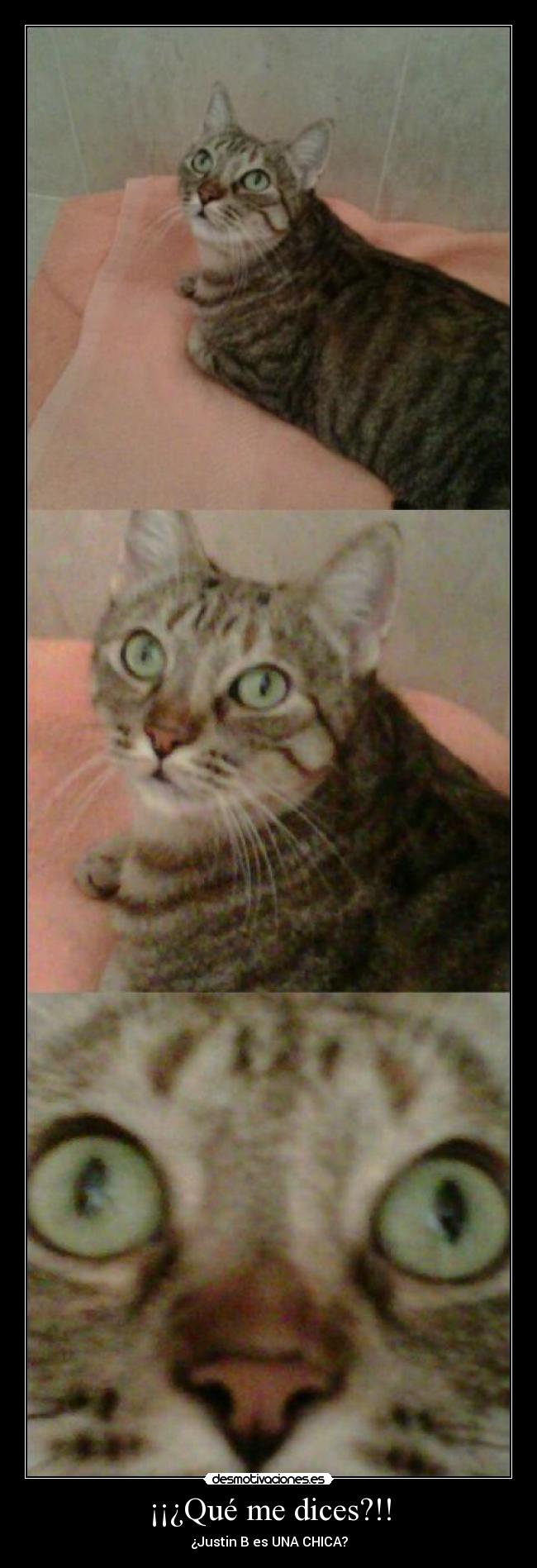 ¡¡¿Qué me dices?!! - ¿Justin B es UNA CHICA?