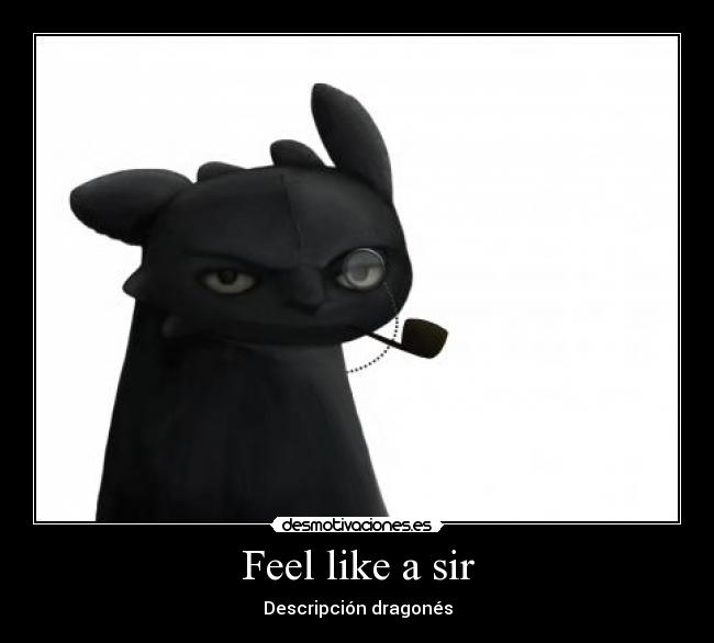 Feel like a sir - Descripción dragonés