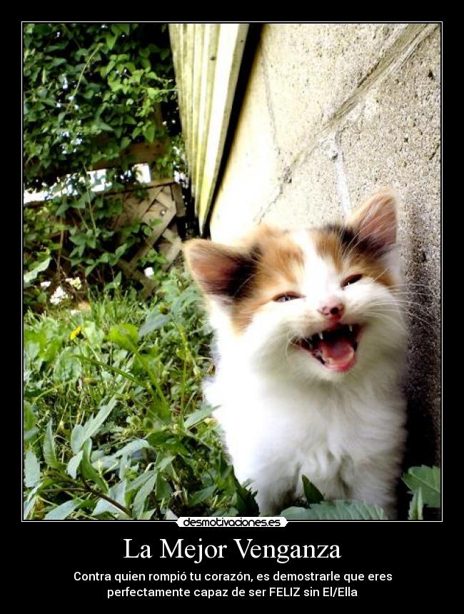 La Mejor Venganza - Contra quien rompió tu corazón, es demostrarle que eres
perfectamente capaz de ser FELIZ sin El/Ella