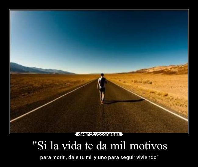 carteles vida vida desmotivaciones