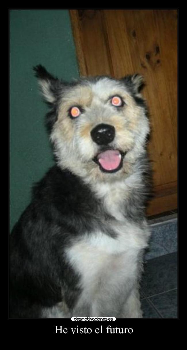 carteles perro oraculo desmotivaciones