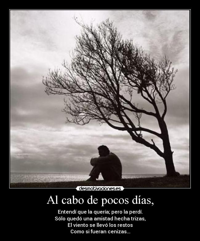 Al cabo de pocos días, - Entendí que la quería; pero la perdí.
Sólo quedó una amistad hecha trizas,
El viento se llevó los restos
Como si fueran cenizas...