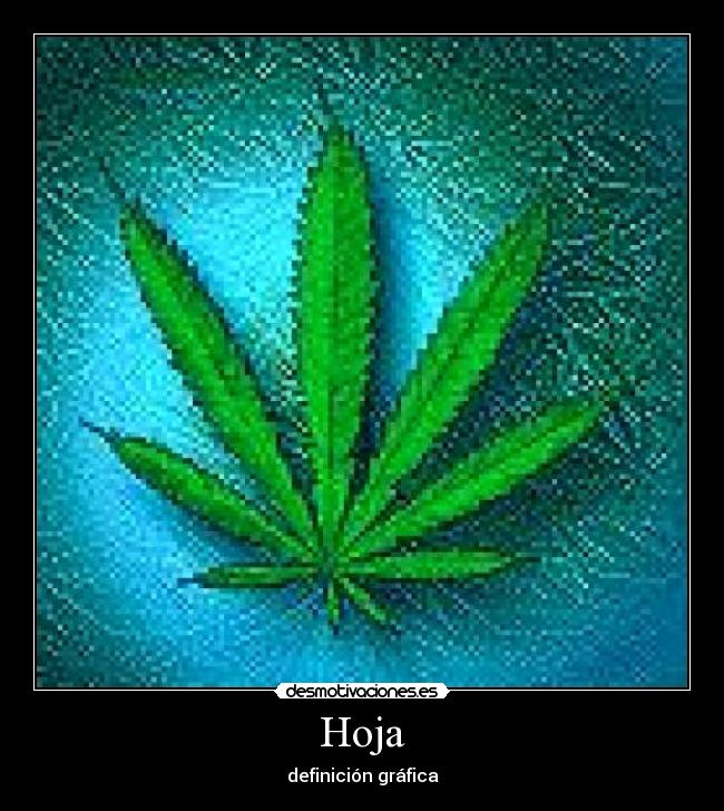Hoja - definición gráfica