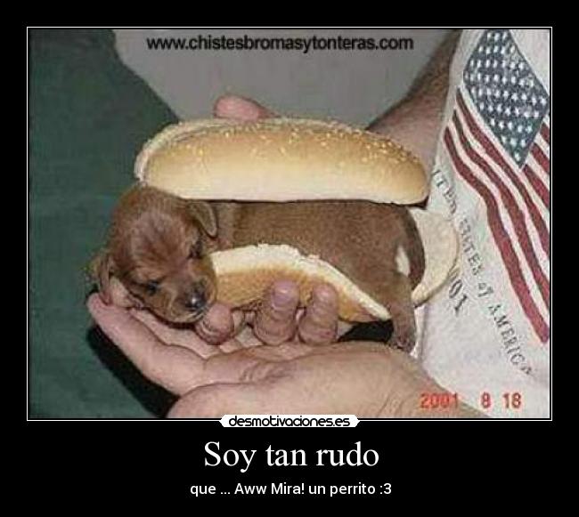 Soy tan rudo - que ... Aww Mira! un perrito :3