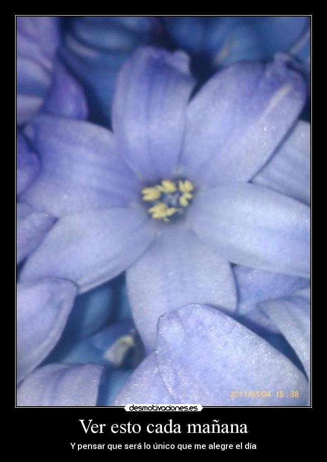 Ver esto cada mañana - Y pensar que será lo único que me alegre el día
