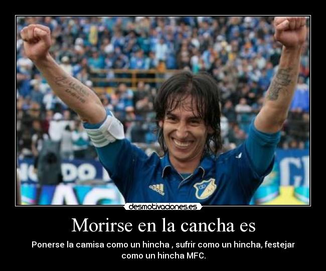 carteles robayo desmotivaciones