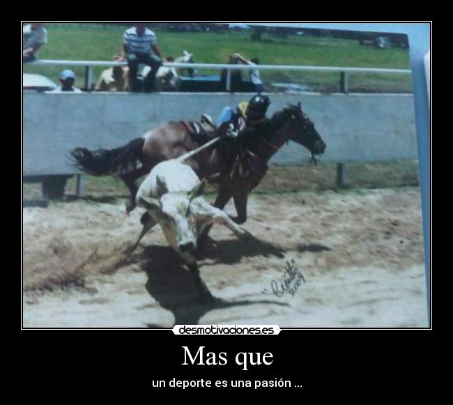 Mas que - un deporte es una pasión ...