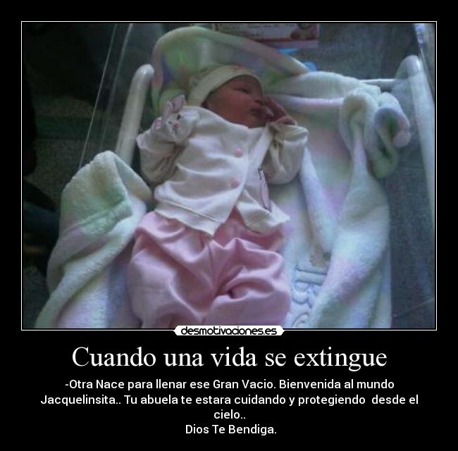 carteles vida nelzon desmotivaciones